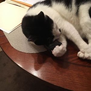 Meet your Posher, Howard