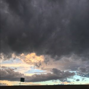 Meet your Posher, Trevlyn