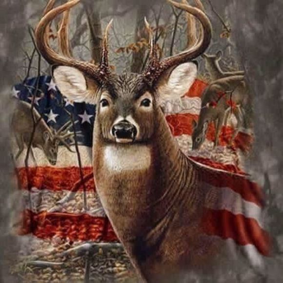 Meet your Posher, Mike - Picture 1 of 1