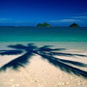 Meet your Posher, Darcy