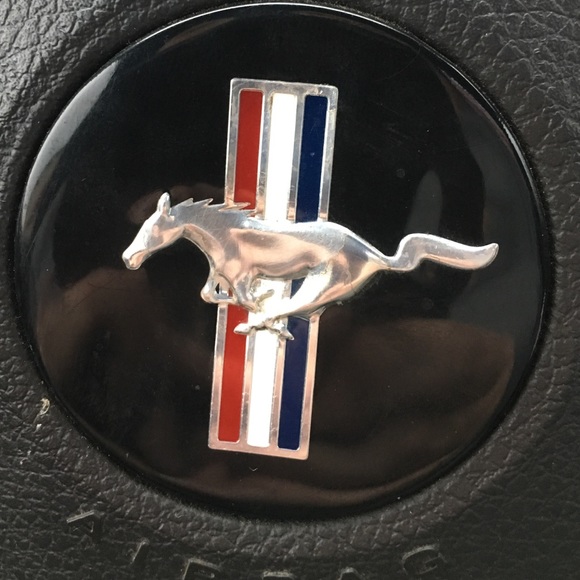 Meet your Posher, Tina - Picture 1 of 1