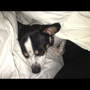 Meet your Posher, Isabel