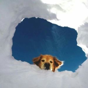 Meet your Posher, Mandy