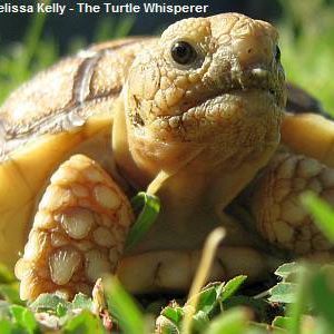 Meet your Posher, Corey