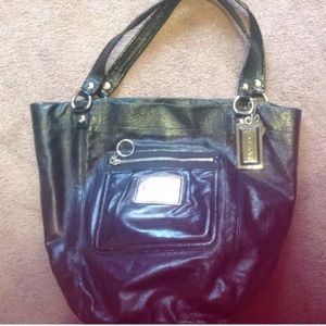 Metallic Black Poppy Coach