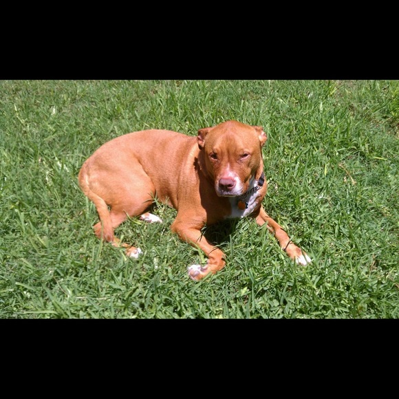 Meet your Posher, Wes