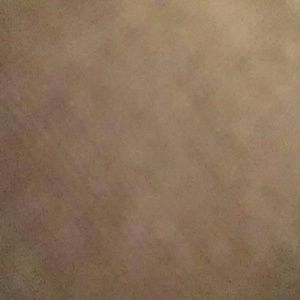 Meet your Posher, Arielle