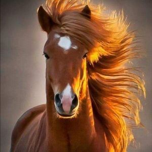 Meet your Posher, Tessie