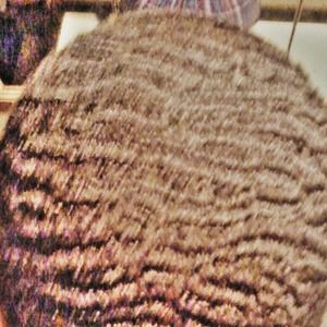 Meet your Posher, Maxwell