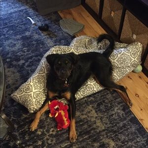 Meet your Posher, Erin