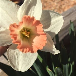 Meet your Posher, Makaylee