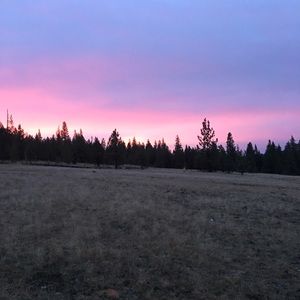 Meet your Posher, Blake