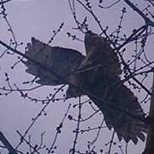 Meet your Posher, Bryant