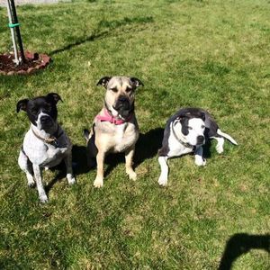 Meet your Posher, Kim