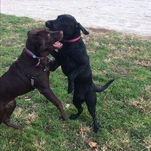 Meet your Posher, Abbi