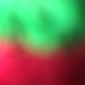 Meet your Posher, Bonnie