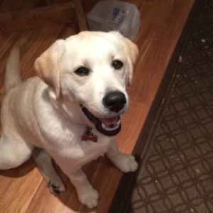 Meet your Posher, Irene