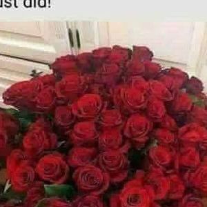 Meet your Posher, Rita