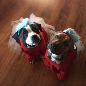 Meet your Posher, Tasha