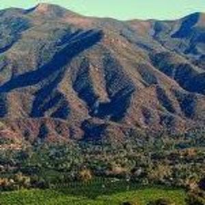 Meet your Posher, Anne