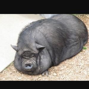 Meet your Posher, Eric