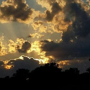 Meet your Posher, Remona