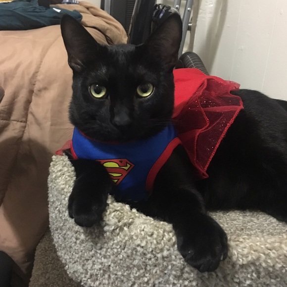 Meet your Posher, Lindsey - Picture 3 of 4