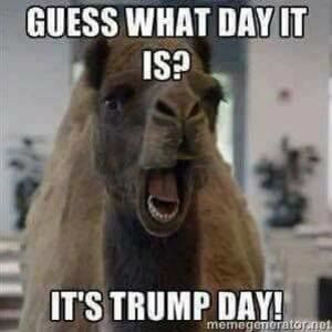 Meet your Posher, Colleen ann