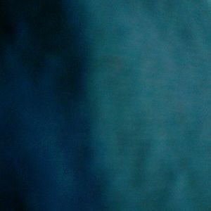 Meet your Posher, Rose