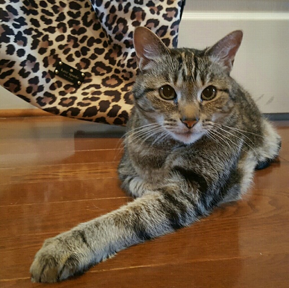 Hello and welcome to my closet! - Picture 5 of 8