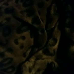 Meet your Posher, Dara