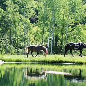 Meet your Posher, Joan