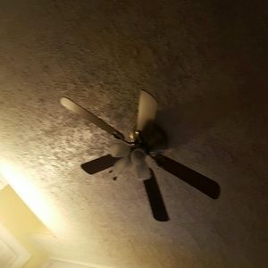 Meet your Posher, Bill