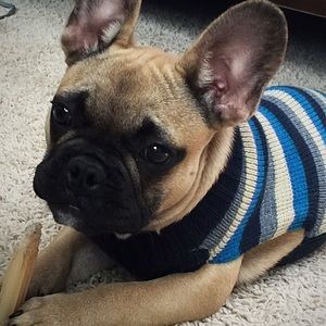 Meet your Posher, Erin