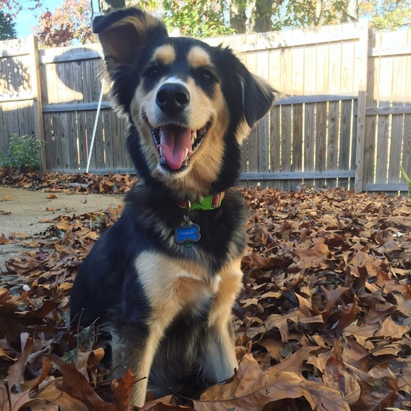 Meet your Posher, Samantha