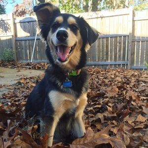 Meet your Posher, Samantha