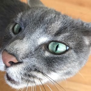 Meet your Posher, Bill