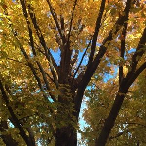 Meet your Posher, Kristi