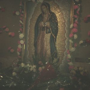 Meet your Posher, Rocio