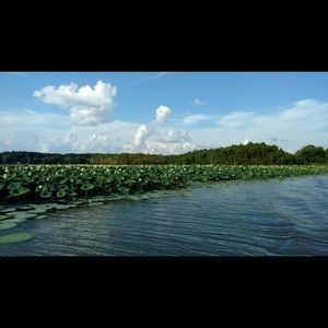 Meet your Posher, Theresa