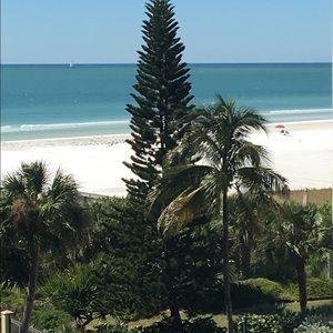 Meet your Posher, Ann