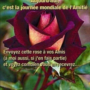 Meet your Posher, Ali