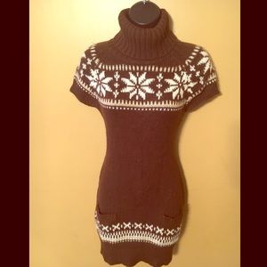 Cozy Turtle Neck Sweater Dress