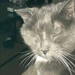 Meet your Posher, Christine