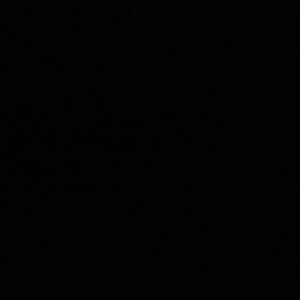 Meet your Posher, Shea