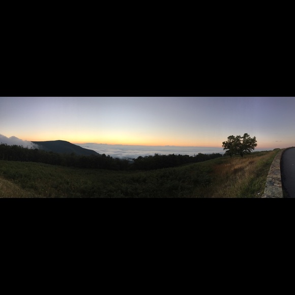 Meet your Posher, Leah