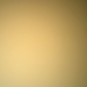 Meet your Posher, Ashante