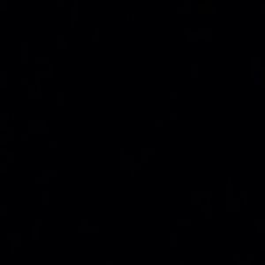 Meet your Posher, Chirs