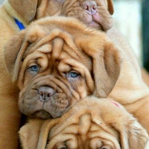 Meet your Posher, Kiara