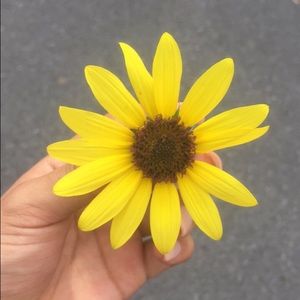 Meet your Posher, Kaylee